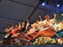 Festival de Folkore en Mula